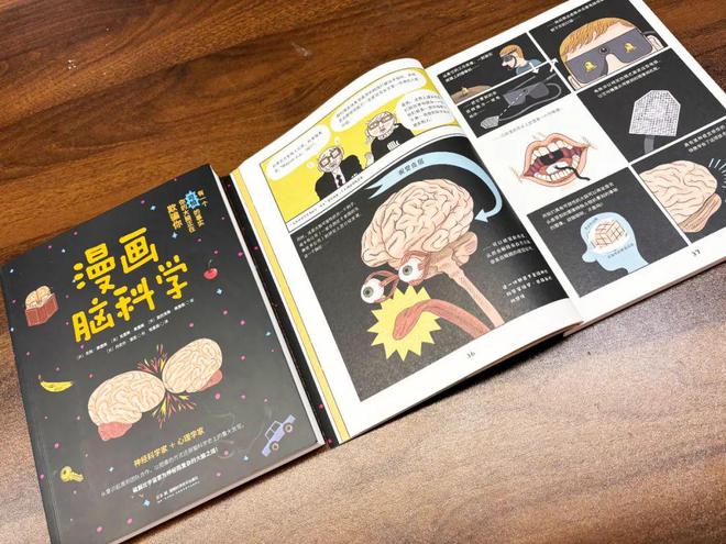 有一个可怕的事实你的大脑正在欺骗你——《漫画脑科学(图3)