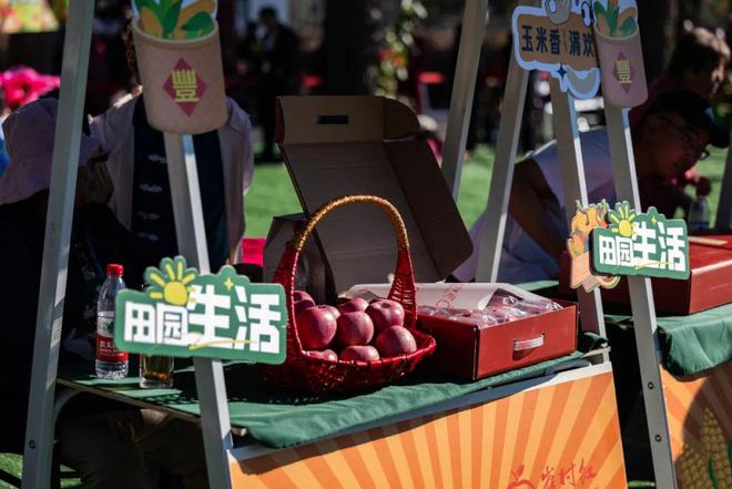 彩神果蔬采摘、玉米迷宫、漫画鸟屋…快来北京农业嘉年华崔村分会场打卡吧！