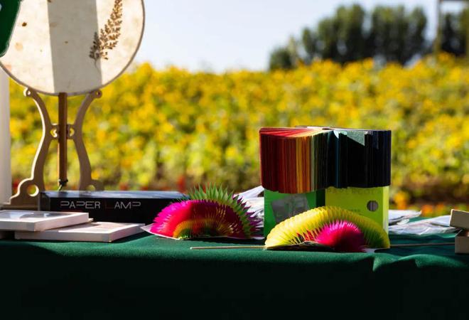 彩神果蔬采摘、玉米迷宫、漫画鸟屋…快来北京农业嘉年华崔村分会场打卡吧！(图2)