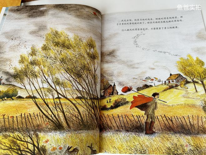 彩神孩子闹书荒了！我攒了这么多的好书趁这一波降价赶紧入(图29)