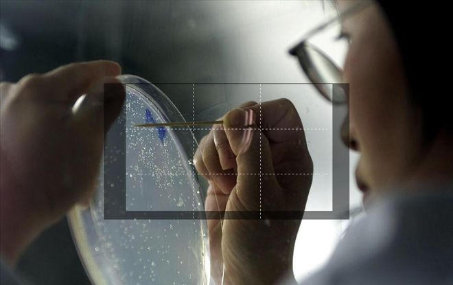 物理科普无从下手？这五个方法助力家长开启孩子科学之旅(图7)