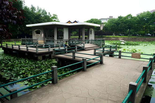 狮子精品夏令营 探访武汉大学、华中科大参观黄鹤楼、湖北省博物馆春假爆款武汉名校夏令营开启报名(图26)